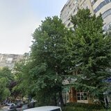Tineretului, C-tin Radulescu Motru 37 mp